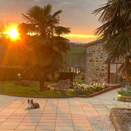 La Basse Monniere Bed & Breakfast Sevremont Екстериор снимка