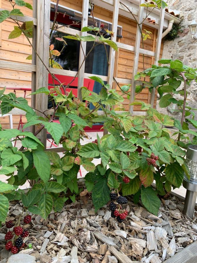 La Basse Monniere Bed & Breakfast Sevremont Екстериор снимка