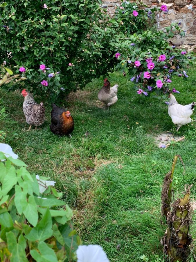 La Basse Monniere Bed & Breakfast Sevremont Екстериор снимка