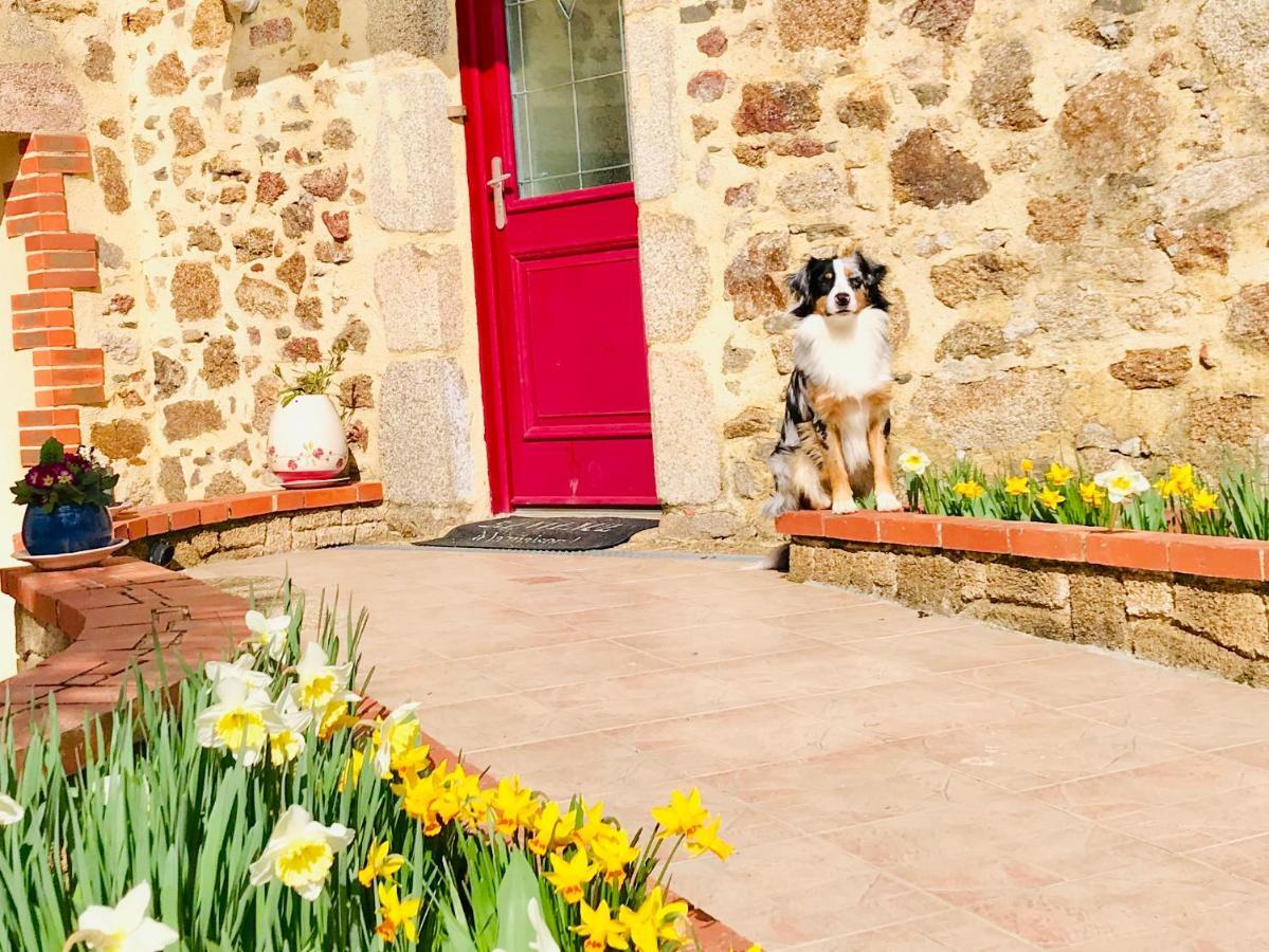 La Basse Monniere Bed & Breakfast Sevremont Екстериор снимка